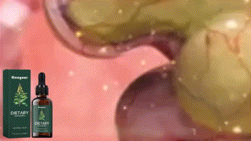 d03ef9a6-d2e6-42de-8cd4-5a145d21695e